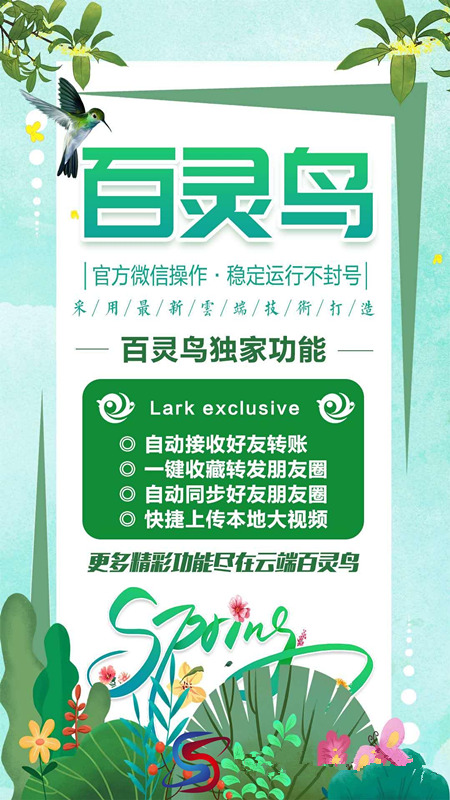 【百靈鳥月卡】百分百不掉線最牛ipai協議