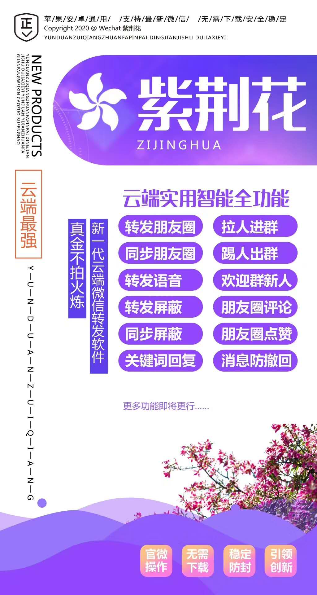紫荊花.jpg