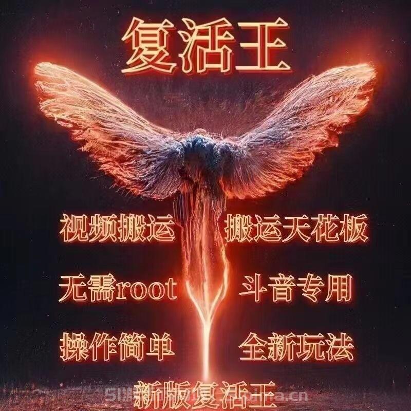 【正版魯班復活王官網年卡激活授權】安卓版