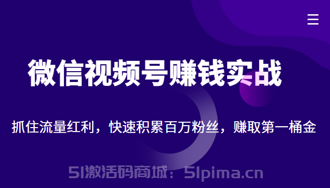 微信視頻號(hào)賺錢(qián)實(shí)戰(zhàn)：抓住流量紅利，快速積累百萬(wàn)粉絲，賺取你的第一桶金[新媒體運(yùn)營(yíng)]