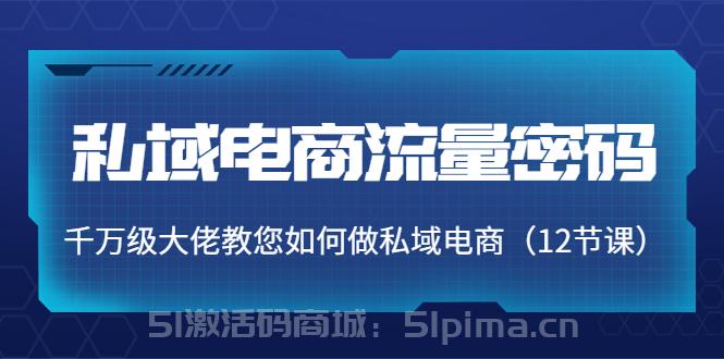 私域電商流量密碼：千萬(wàn)級(jí)大佬教您如何做私域電商（12節(jié)課）[網(wǎng)絡(luò)營(yíng)銷(xiāo)]