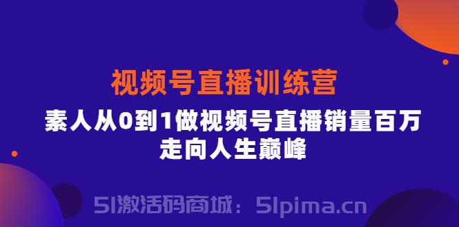 視頻號直播訓(xùn)練營，素人從0到1做視頻號直播銷量百萬，走向人生巔峰[新媒體運(yùn)營]