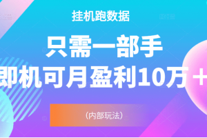 掛機數(shù)跑據(jù)，只需一部手機即可月盈利10萬＋（內(nèi)部玩法）價值4988元